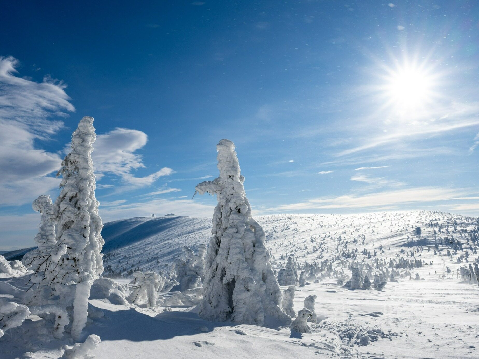 Poles will love the Czech Republic in winter.  A modern resort only 50 minutes' drive from Poland