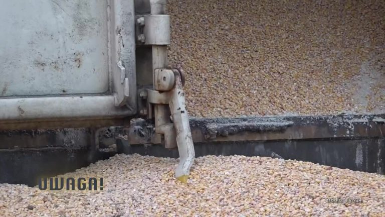 Incident with Ukrainian grain.  “Thugs did it, not farmers.”