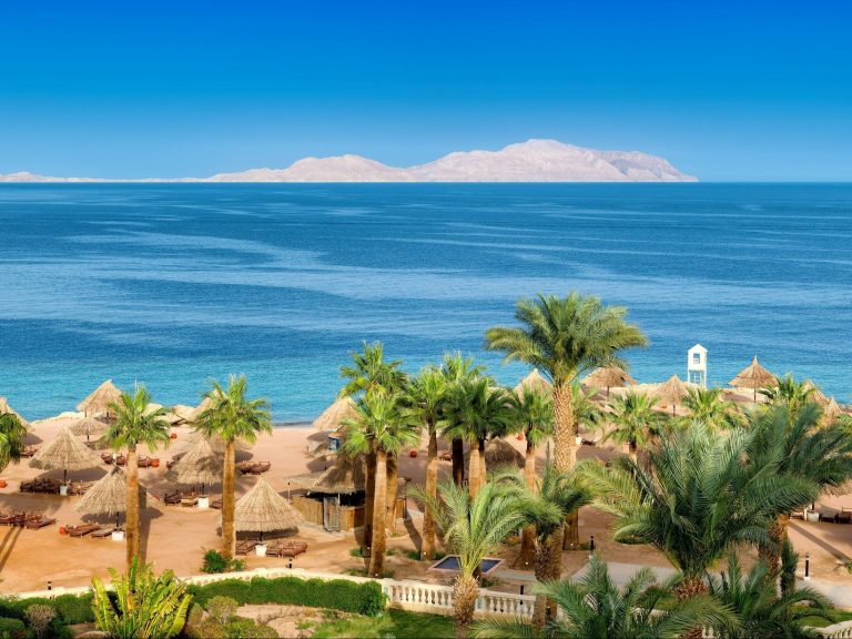 A week in Egypt for a thousand zlotys.  All inclusive holiday in a beach hotel