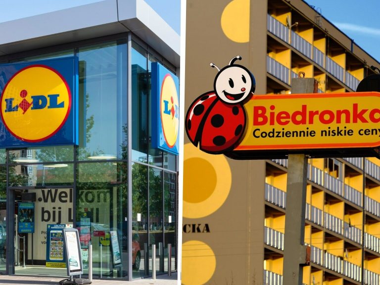 Biedronka and Lidl buy plastic bottles.  How much can you earn?