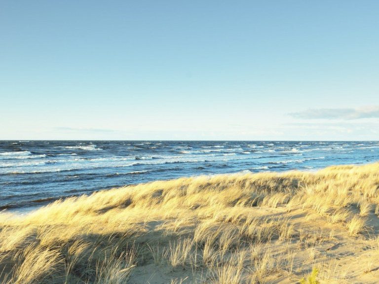 The Baltic Sea is becoming more and more polluted.  “Rinse water” is to blame