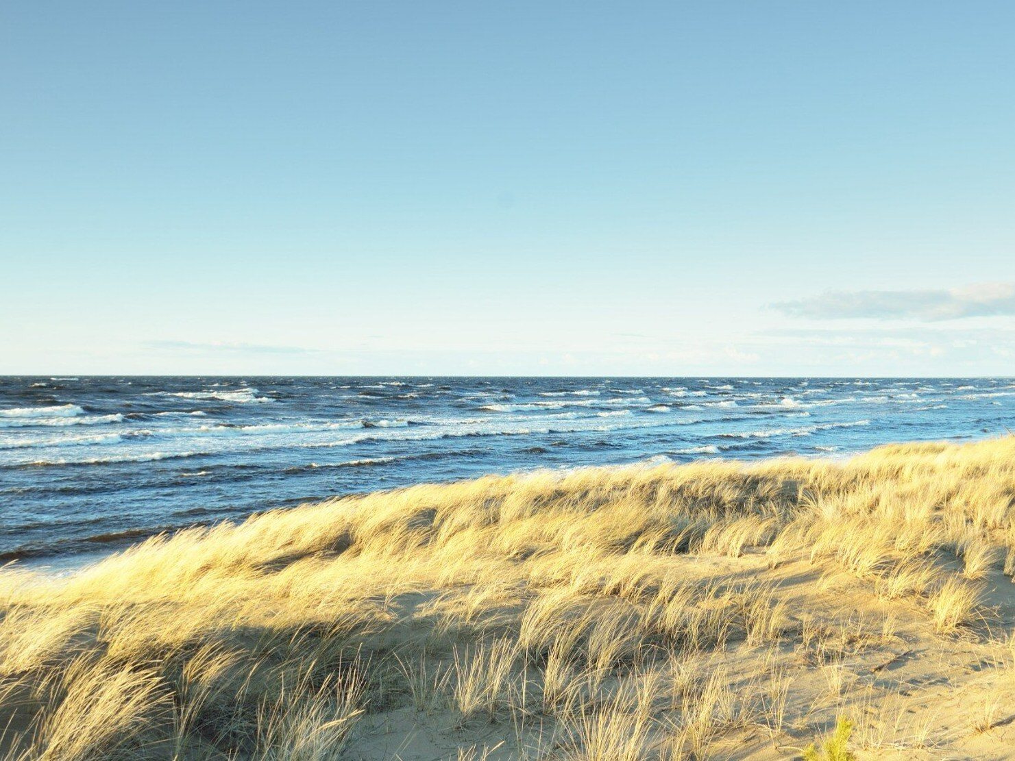 The Baltic Sea is becoming more and more polluted.  "Rinse water" is to blame