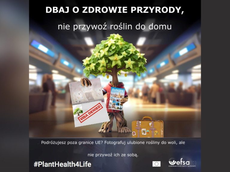 The #PlantHealth4Life campaign is back!  Europe unites its efforts for plant health, biodiversity and the economy