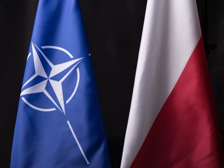 Polish general elected to an important position in NATO.  This is the first such situation in history