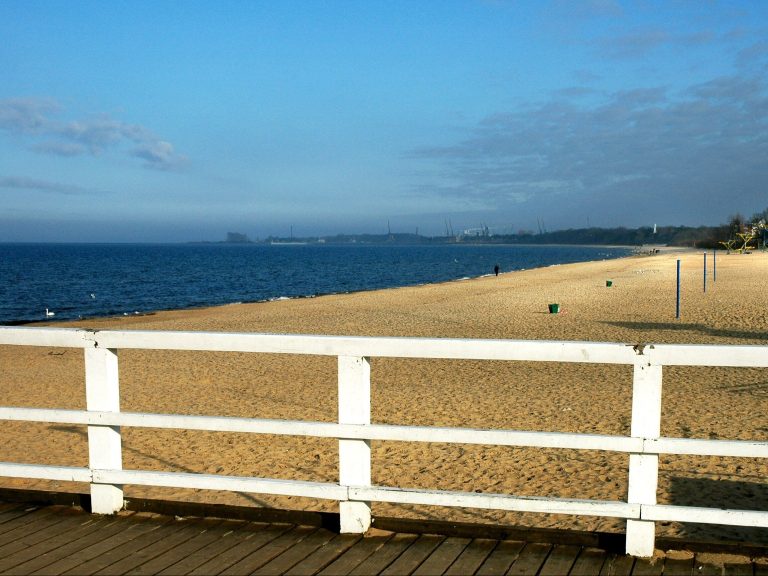 Blue-green algae bloom in the Baltic Sea. Three popular bathing areas closed